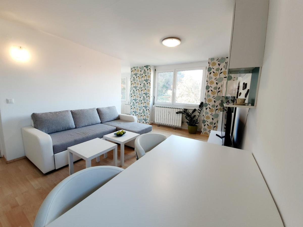 Bossa Nova Castle&Outstanding Home With Garage リュブリャナ エクステリア 写真