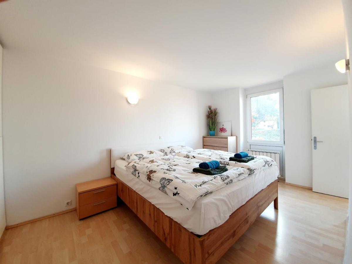 Bossa Nova Castle&Outstanding Home With Garage リュブリャナ エクステリア 写真